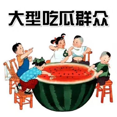娱乐吃瓜外交小说,宫廷秘闻与娱乐风云