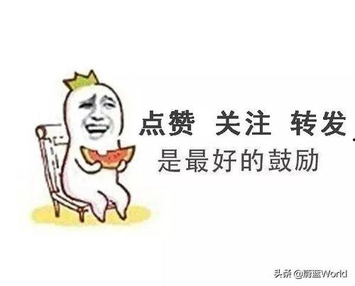 娱乐吃瓜酱补习英语,开启英语学习新篇章