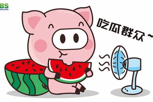 娱乐吃瓜酱网购,轻松get时尚好物