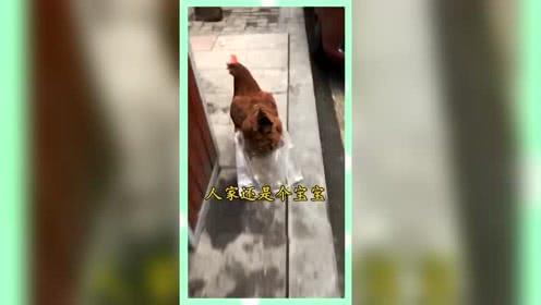 娱乐至死的吃瓜群众,揭秘吃瓜群众的狂欢世界