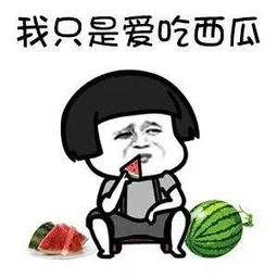 娱乐吃瓜酱算什么,揭秘娱乐圈背后的秘密与八卦