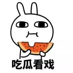 娱乐吃瓜酱不懂就问