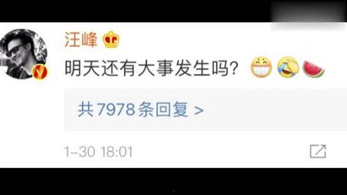 小程序娱乐圈吃瓜人,揭秘“吃瓜人生”背后的精彩故事